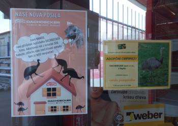 Leták o adopci nandua pampového