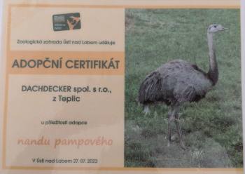 Adopční certifikát Teplice