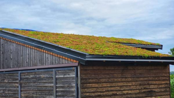 Zelená střecha s krytinou Eureko Green